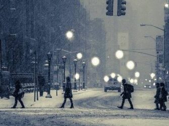 {{brizy_dc_image_alt entityId=